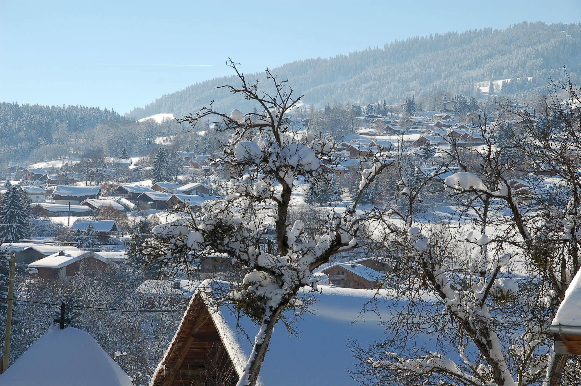 Hotel Le Caprice Des Neiges Combloux Bagian luar foto